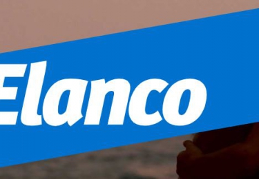Elanco legt 7,6 miljard dollar op tafel voor diergeneesmiddelentak Bayer