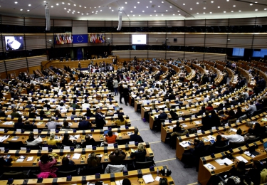 Europees Parlement stemt voor resolutie uitfasering kooisystemen in de veehouderij 