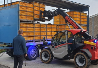 FAVV maakt bijkomende derogatie bekend op het verbod op uitladen van slachtpluimvee, eveneens als de instructies voor het slachten van pluimvee op bedrijven in de 10 km-zone rond de uitbraak in Deerlijk