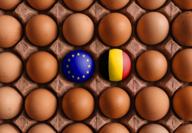 Geen verzilvering van Europese eierexportstijging