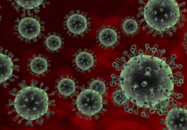GGO-wetgeving belemmert ontwikkeling vogelgriepvaccin