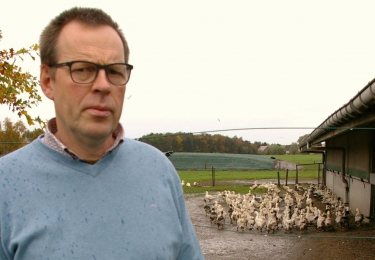Het einde is in zicht voor laatste Vlaamse producent van foie gras