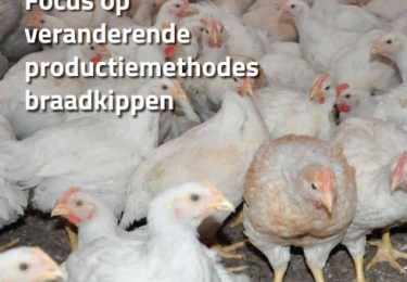 Inhoud komend  JULI – AUGUSTUS nummer Pluimvee 