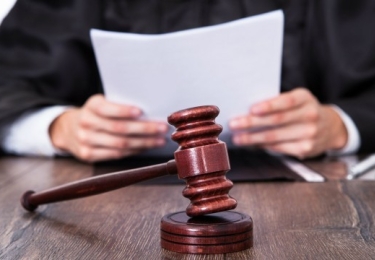 Nederlandse pluimveesector haalt juridische slag thuis: vangletselboetes van tafel vanwege onvoldoende bewijs