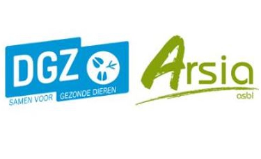 Noord-Zuidsamenwerking voor DGZ en ARSIA