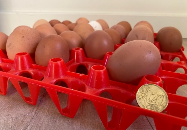 Ondanks nieuwe eierprijzenrecords blijven eieren een goedkoop product