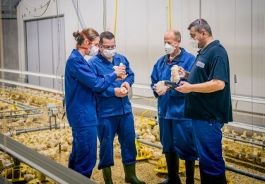 ‘Pluimveecursus voor actieve en startende pluimveehouders wekt interesse.’