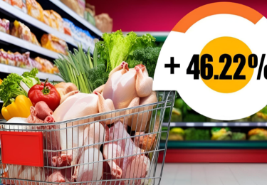 Politiek beleid naar ‘meer’ dierenwelzijn zal gezinsbudget doen ontsporen
