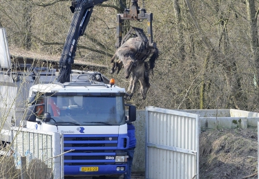 Prijzen abonnementen krengenfinanciering blijven ongewijzigd