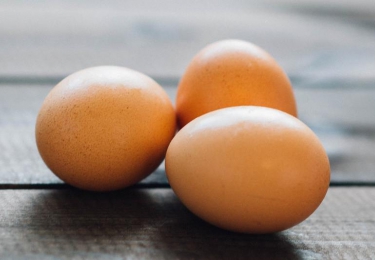 Salmonellamalaise in Poolse eieren duurt voort