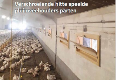  Septembernummer vakblad Pluimvee 