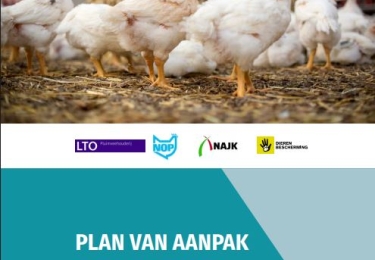 Stapsgewijs naar dierwaardige veehouderij in 2040 - Ondergraaft Nederland hiermee zijn eigen veeteeltsector?