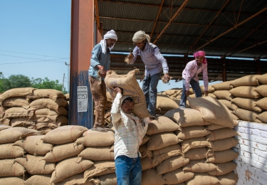 Tarwe naar recordprijs na Indisch exportverbod