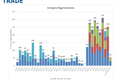 Twee derde van de EU import van eieren komt nu uit Oekraïne en wordt geproduceerd in de EU verboden kooi-huisvesting