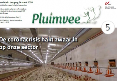 Vakblad Pluimvee mei 2020 online beschikbaar 