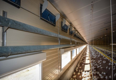 Warmwater buizenverwarming voor slachtkuikens eindelijk op AEA-lijst