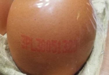 Wetgeving inzake merken van eieren is blamage voor Europese geloofwaardigheid